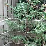 Semesterpark Vakantieverblijf Coo-sy