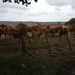 Vakantieverblijf Coo-sy