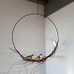 Vakantieverblijf Coo-sy