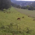 Vakantieverblijf Coo-sy Stavelot