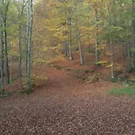 Semesterpark Vakantieverblijf Coo-sy