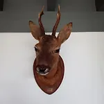 Semesterpark Vakantieverblijf Coo-sy Stavelot