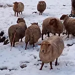 Semesterpark Vakantieverblijf Coo-sy Stavelot