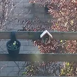 Semesterpark Vakantieverblijf Coo-sy