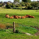 Vakantieverblijf Coo-sy * Stavelot