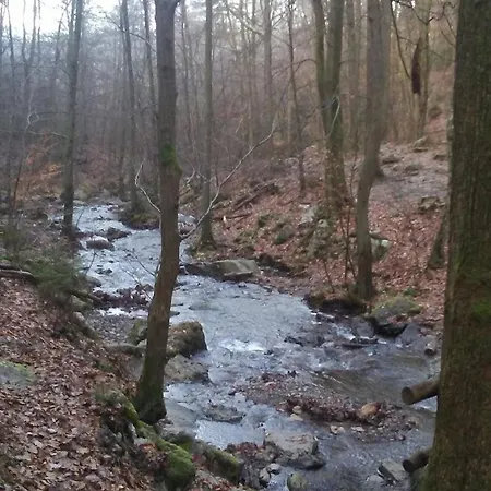 홀리데이파크 Vakantieverblijf Coo-sy