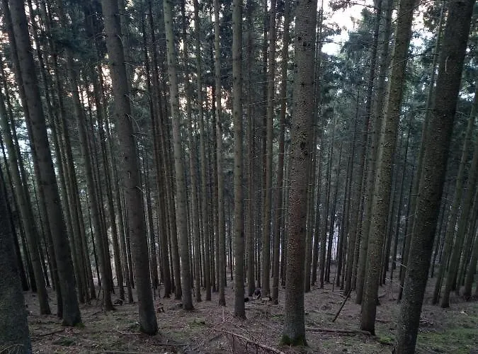 Vakantieverblijf Coo-sy * Stavelot