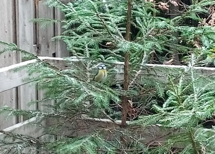 Vakantiepark Vakantieverblijf Coo-sy