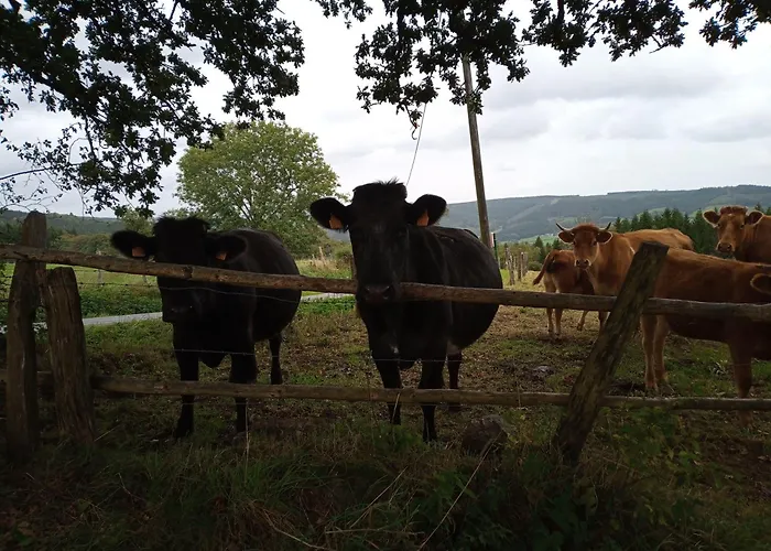 Vakantieverblijf Coo-sy Village de vacances