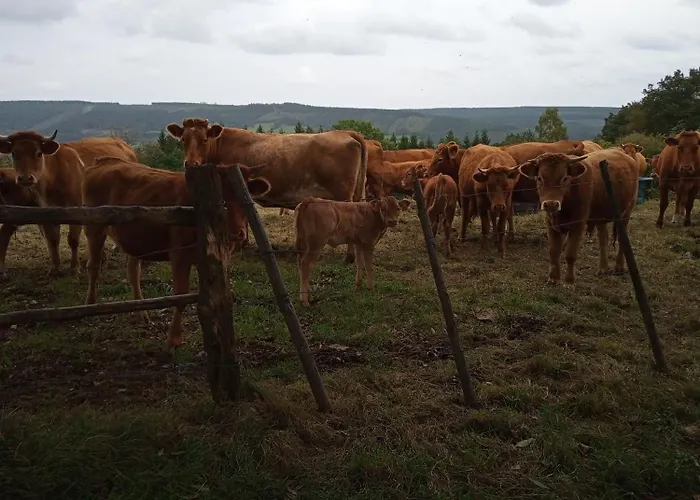 Vakantieverblijf Coo-sy