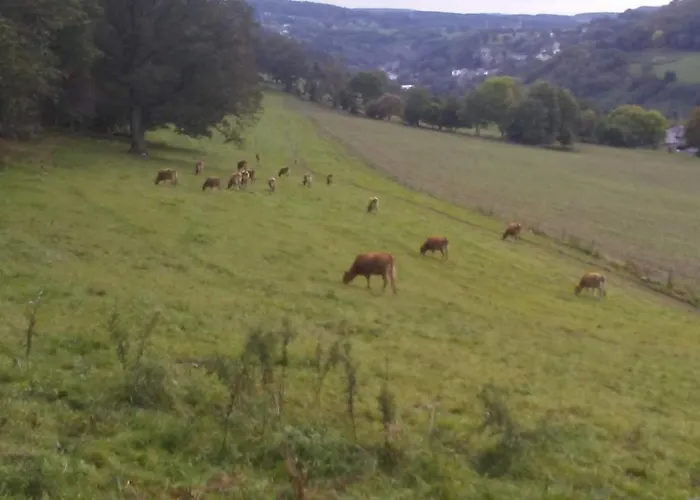 Vakantieverblijf Coo-sy Stavelot