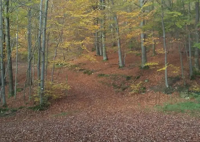 Village de vacances Vakantieverblijf Coo-sy