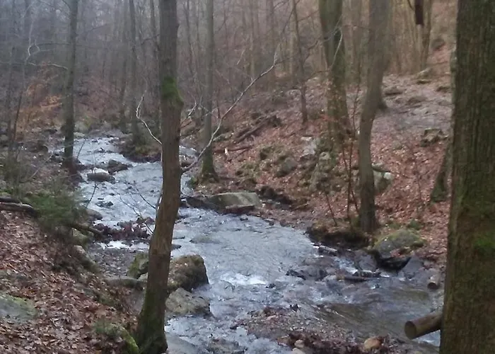 Vakantiepark Vakantieverblijf Coo-sy