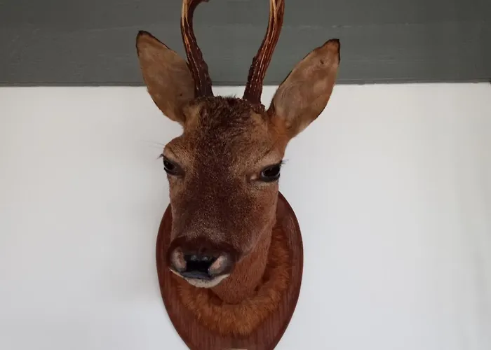 Vakantiepark Vakantieverblijf Coo-sy Stavelot