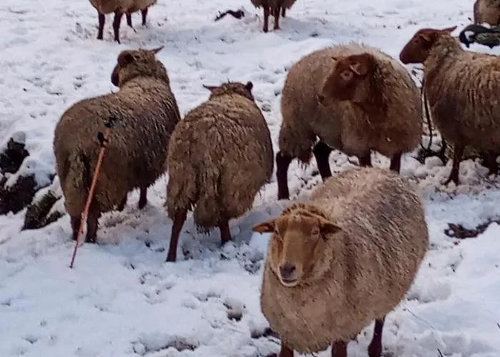 Vakantiepark Vakantieverblijf Coo-sy Stavelot