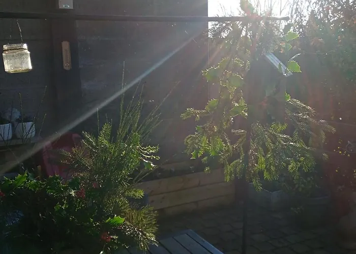 Vakantieverblijf Coo-sy Village de vacances