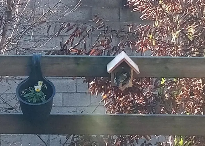 Village de vacances Vakantieverblijf Coo-sy