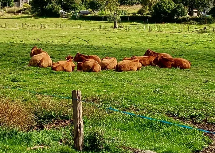 Vakantieverblijf Coo-sy * Stavelot