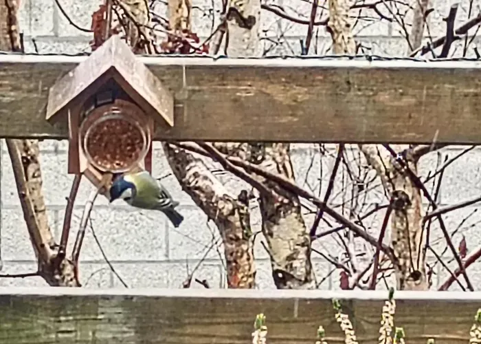 Vakantieverblijf Coo-sy * Stavelot